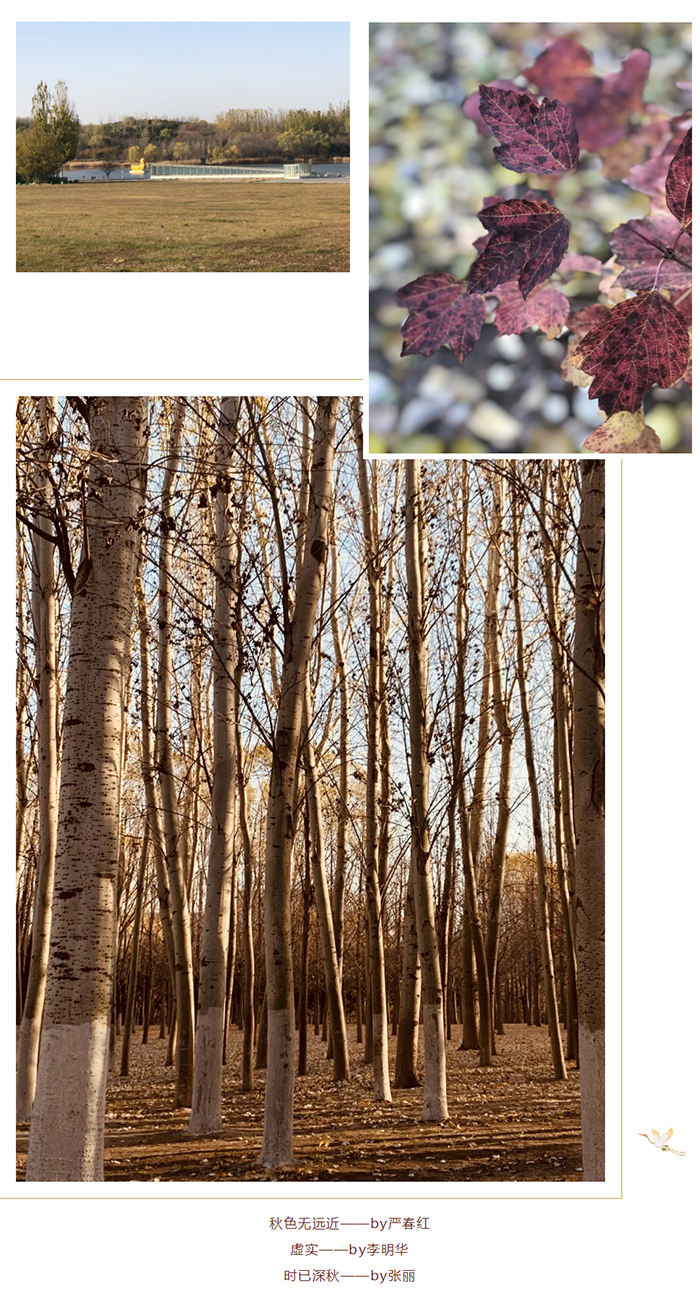 【健步走】美美噠攝影作品已出爐,歡迎圍觀！_07.png