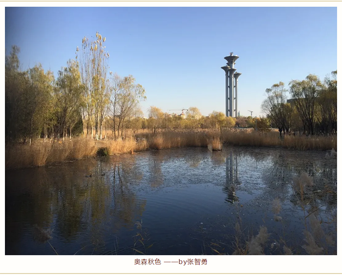 【健步走】美美噠攝影作品已出爐,歡迎圍觀！_12.png